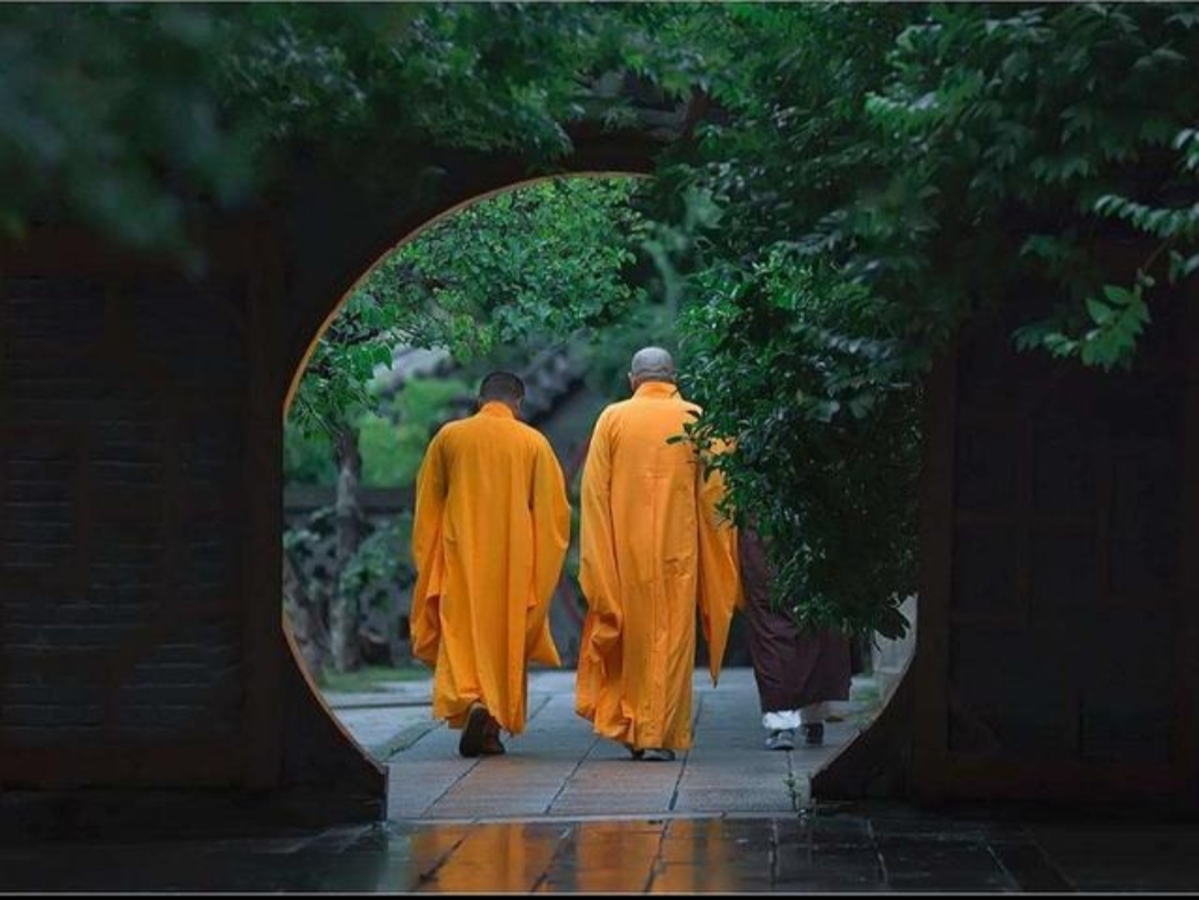 色品尚网品色堂社区，一个充满活力与魅力的生活空间