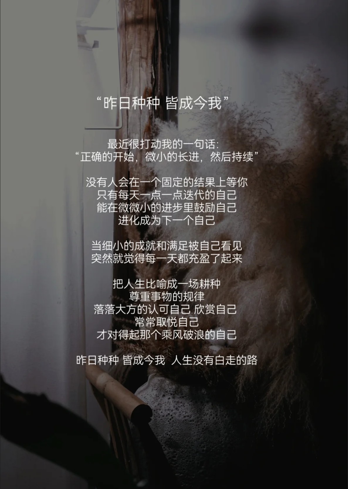 留在我体内的又开始变大留在我体内的奇迹，重新生长的旅程