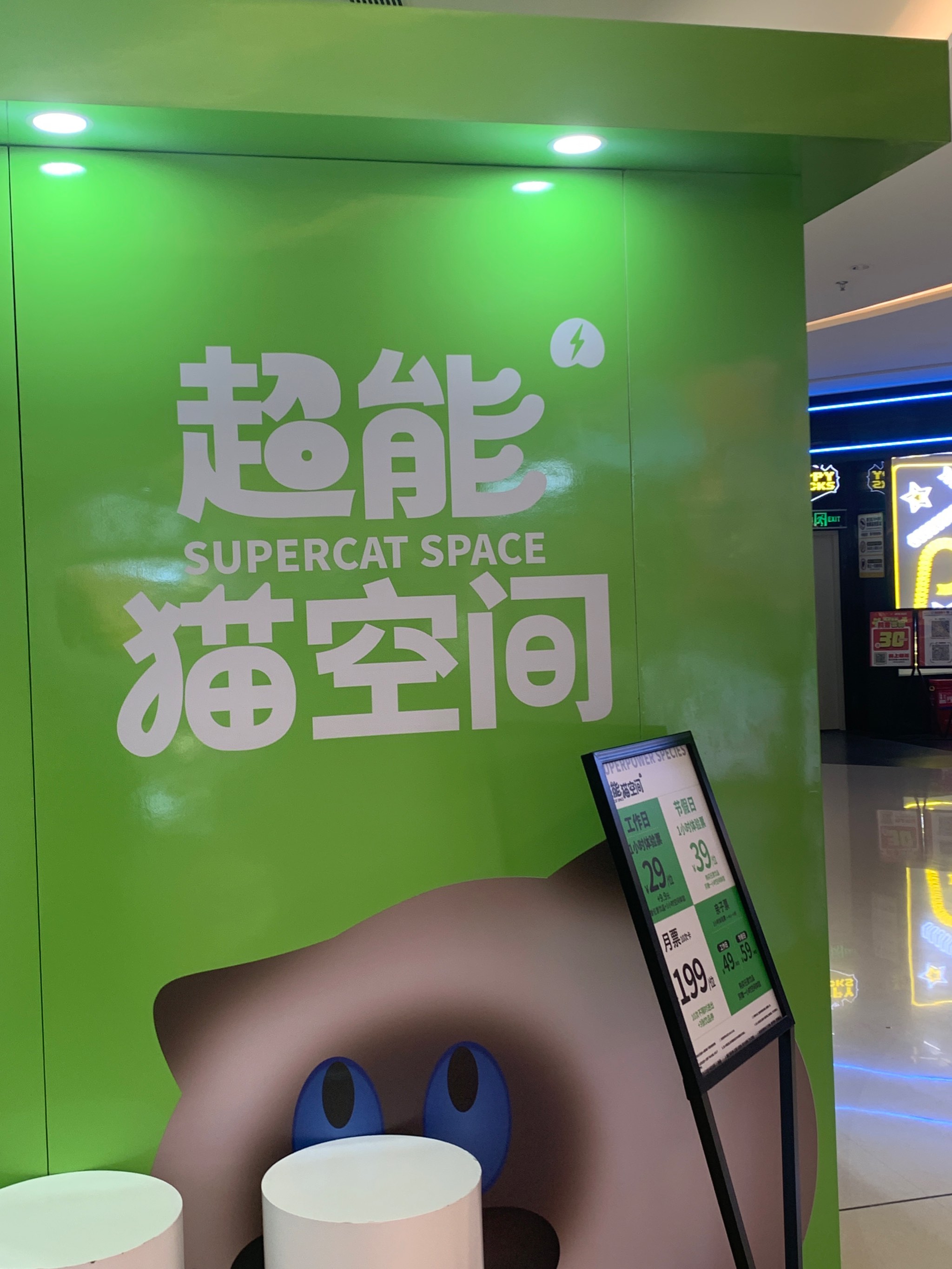 猫咪社区app是啥猫咪社区app官网入口探索之旅-第1张图片