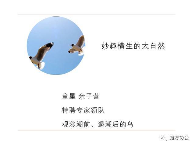 小明成人免费永久性看看小明成人后的免费永久性探索之旅-第1张图片