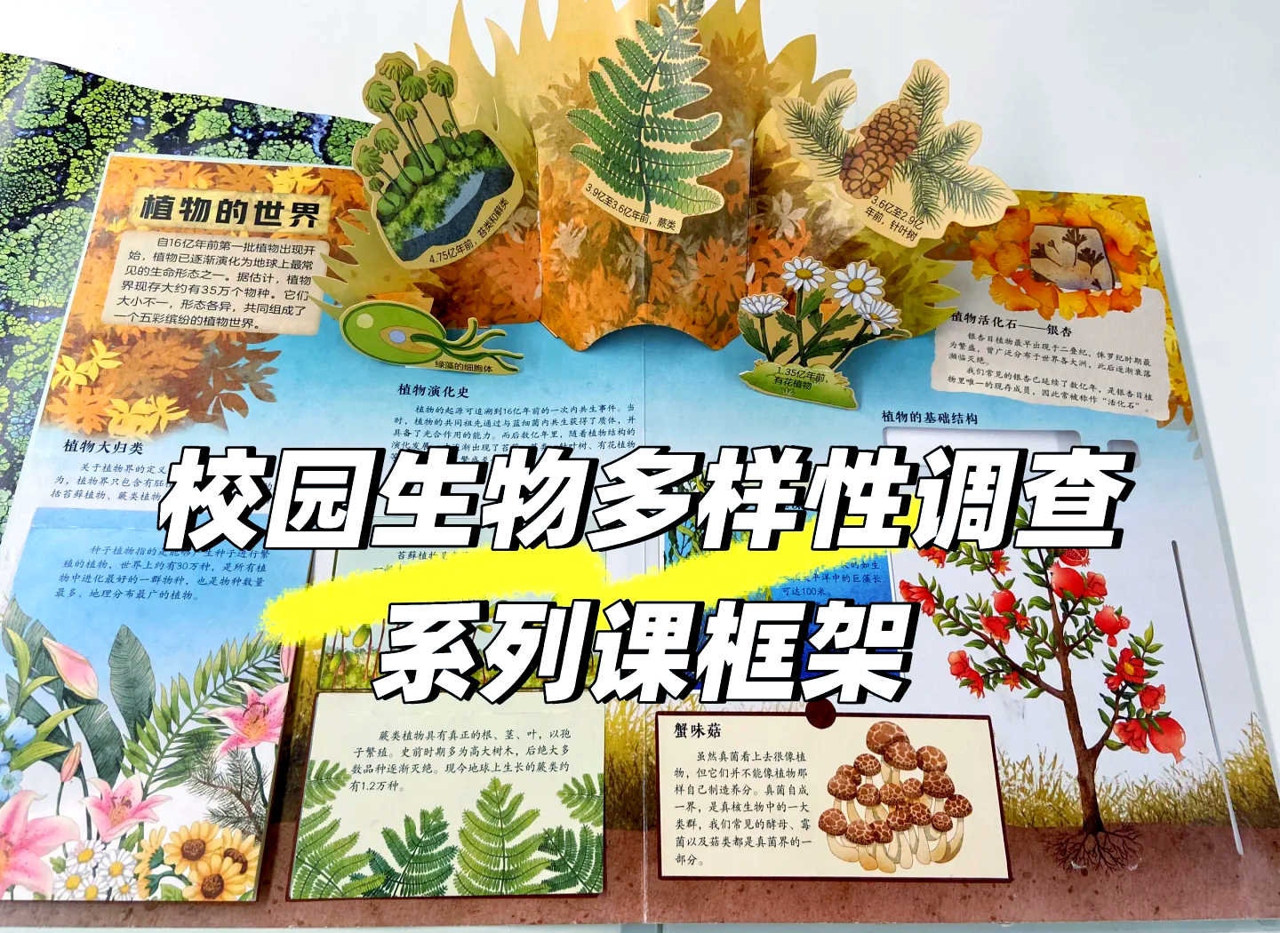 野花社区的探索与发现-第1张图片