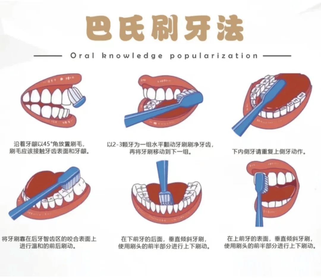 龋齿与蚂蚁庄园，守护口腔健康的小知识