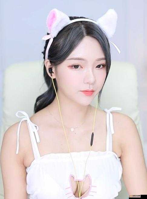 绿巨人下载汅api免费破解版绿巨人下载汅API免费破解版，风险与后果的深度解析-第1张图片