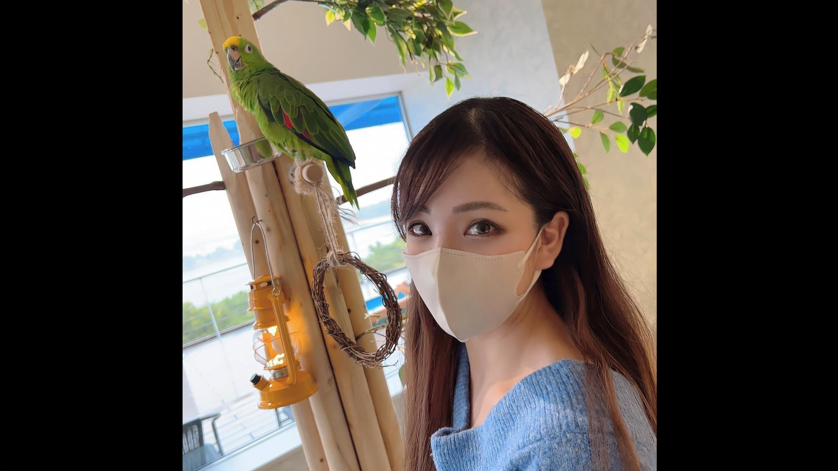 麻豆精品久久久一区二区,精品久久免费观看麻豆精品久久久一区二区，探索网络世界的独特魅力