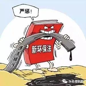 厕所偷厕所偷，一个不为人知的秘密行为-第1张图片