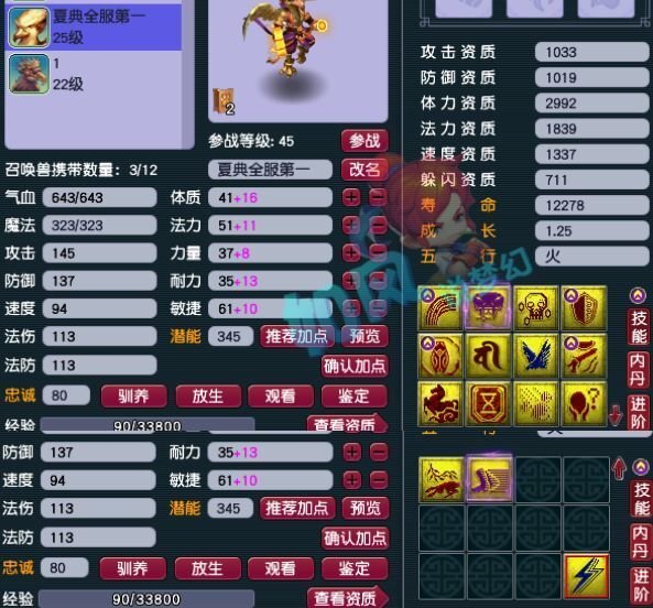 梦幻西游，神龙宝宝的奇妙之旅