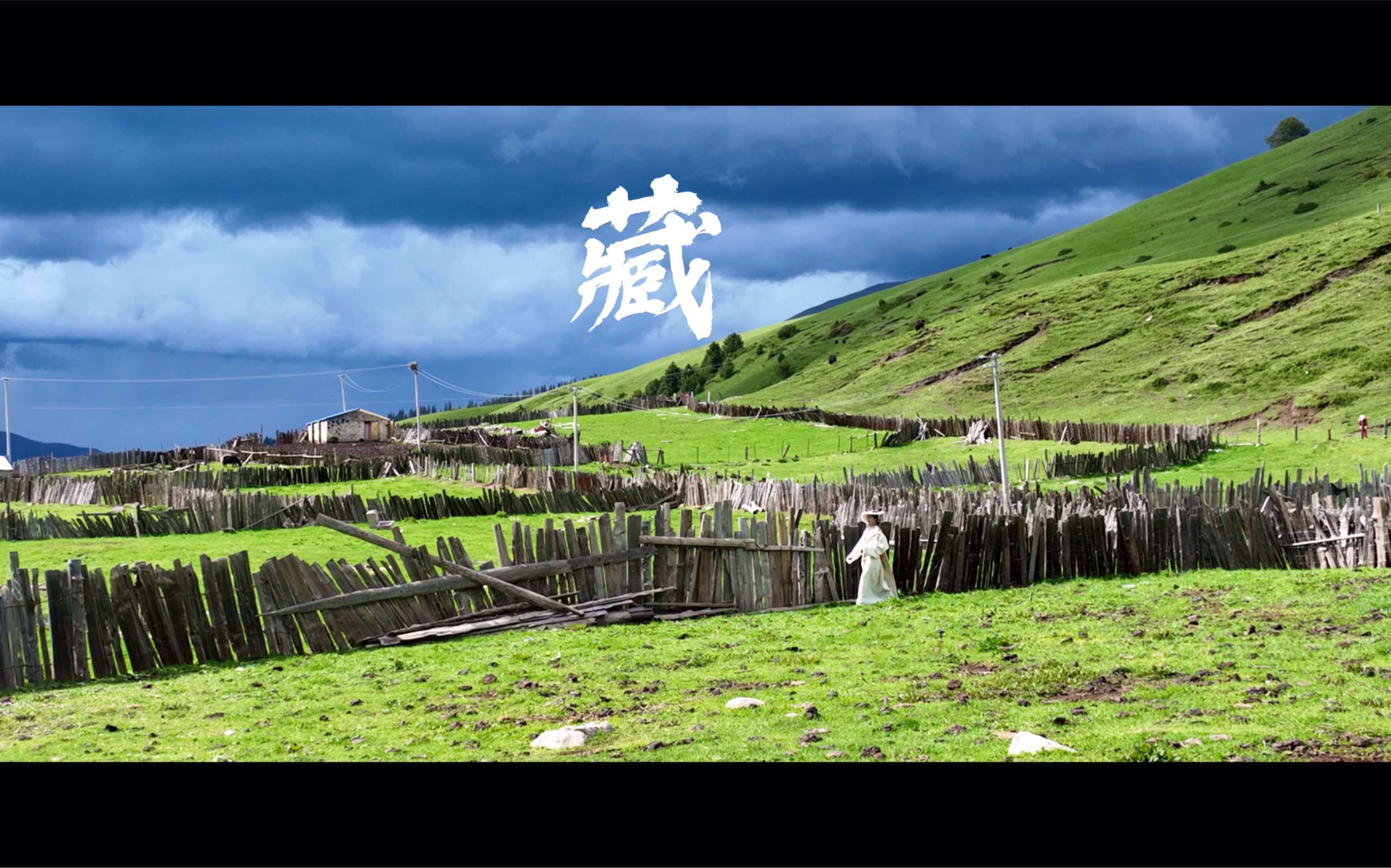 龙裔，神秘的东方血脉
