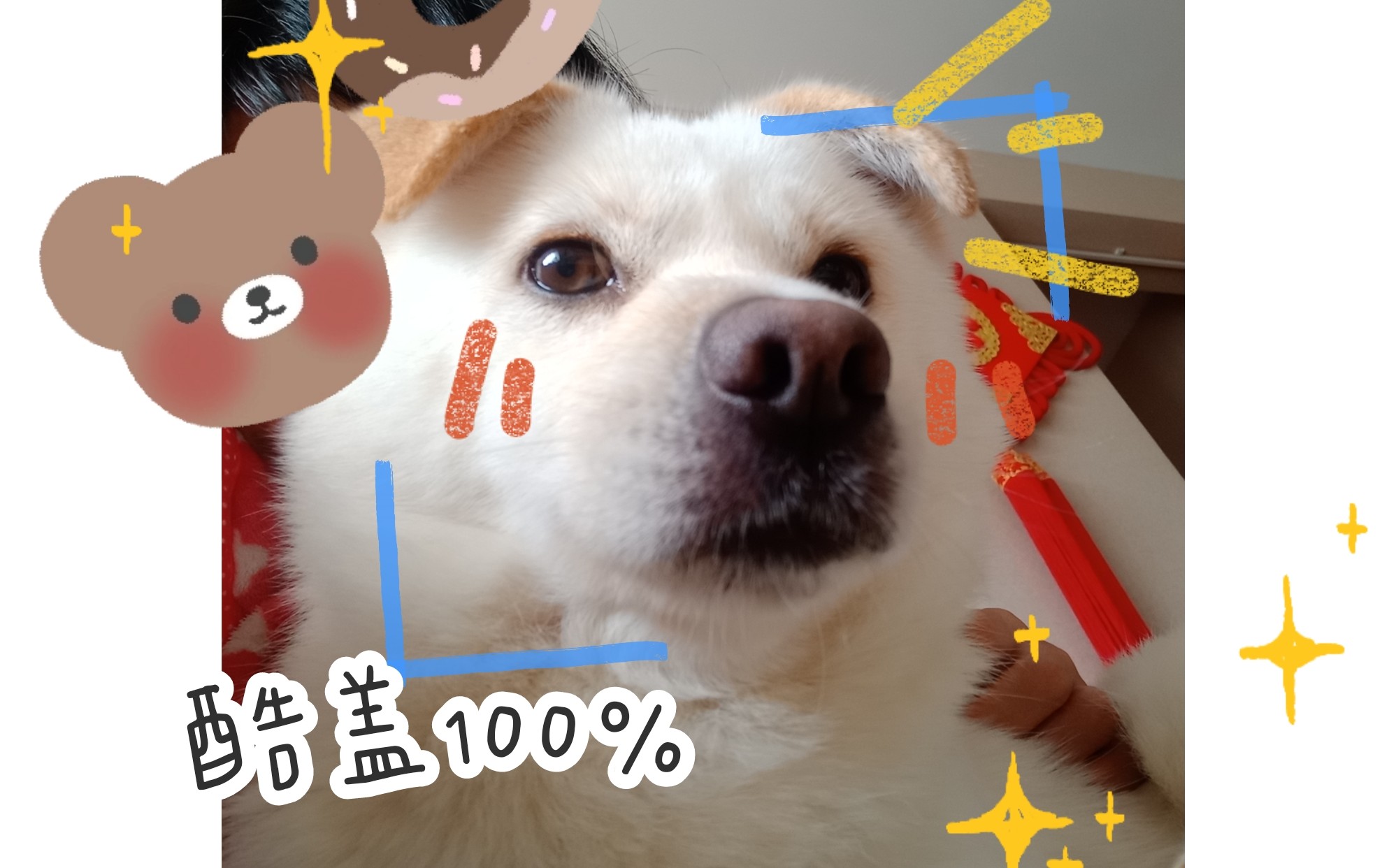 开心四月激动的心情四房播播带来的欢乐时光
