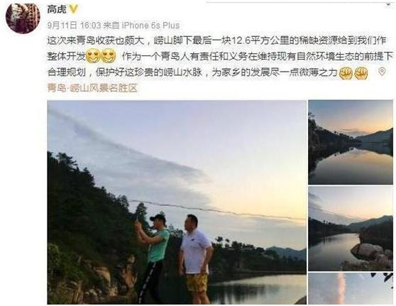 虚竹戏花丛，自然与心灵的和谐共舞-第2张图片