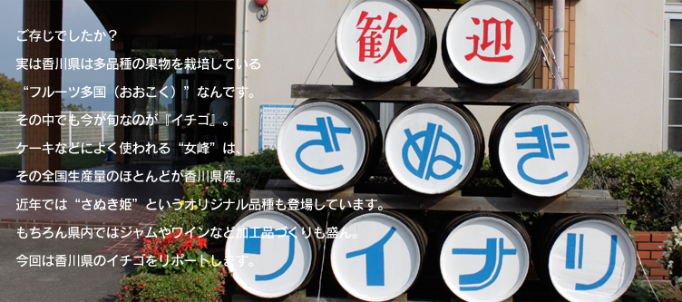 あんてきぬすっ中文播放探索おっぱいハート的魅力——中文在线的体验-第1张图片