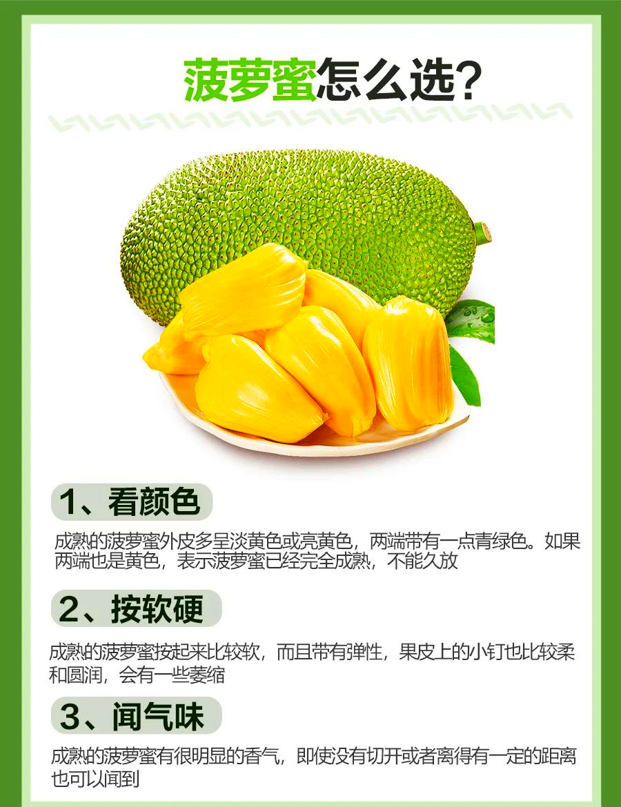 菠萝蜜视频在线观看视频10菠萝蜜视频在线观看，探索与体验的乐趣-第3张图片