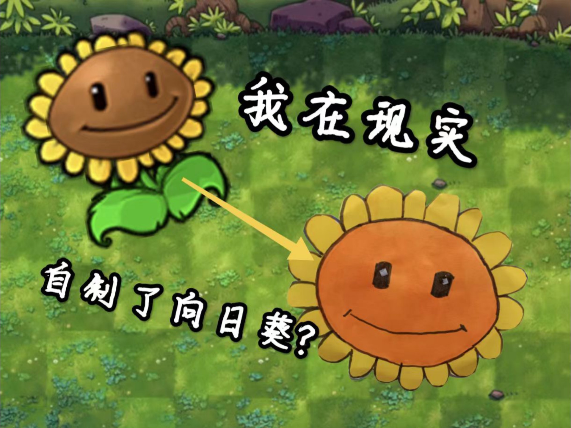 向日葵视视频无限看ios探索向日葵视频与丝瓜ios免费大全，无限观影新体验