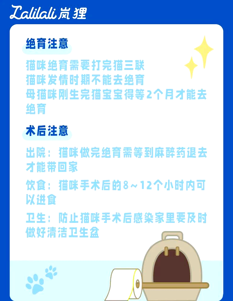 喵咪最新破解版apk喵咪最新破解版apk的全面解析-第2张图片