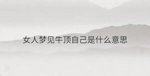 女生说顶到底了的含义解析
