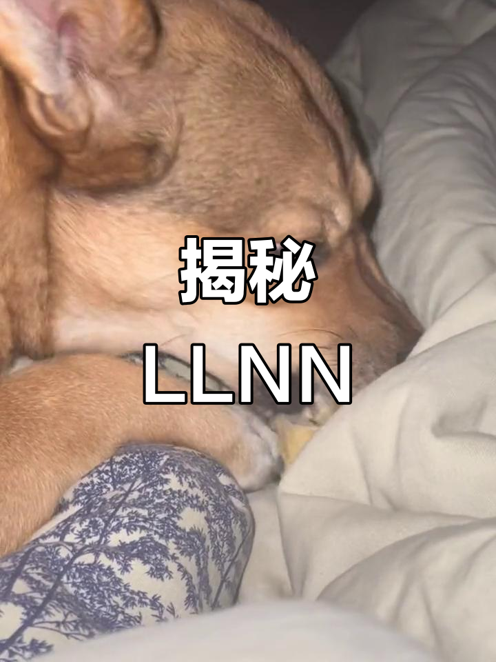 草榴色导航，探索未知的数字世界之旅-第1张图片