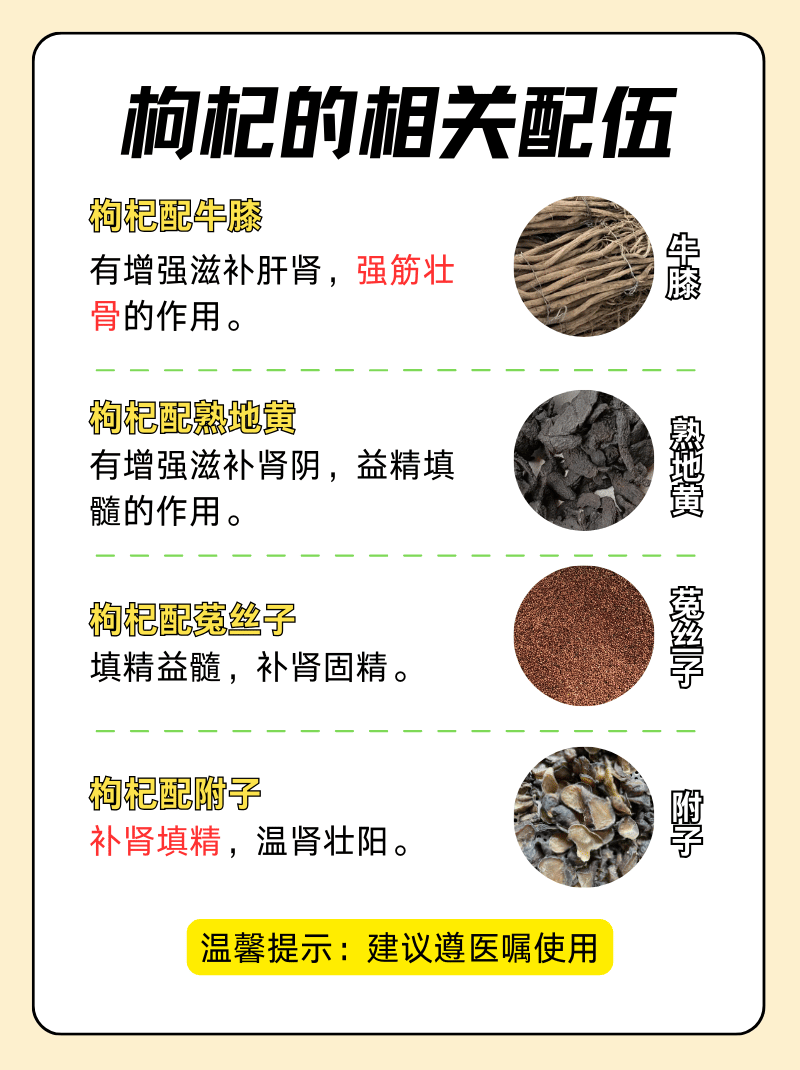枸杞与一物相加，功效胜过伟哥？——探索天然的男性健康之法-第1张图片