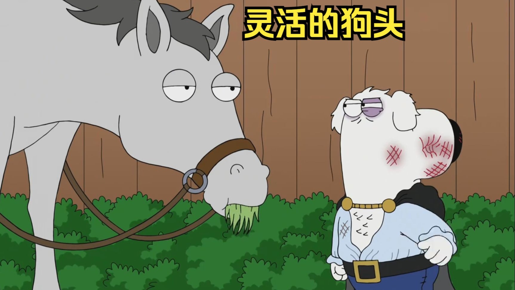狗头天赋怎么点狗头天赋，探索犬类独特能力的奥秘-第1张图片
