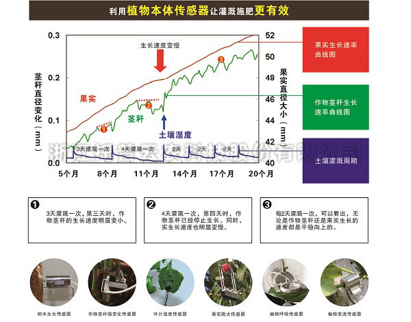 优质灌溉什么意思优质jy灌溉系统游戏与海棠的完美结合