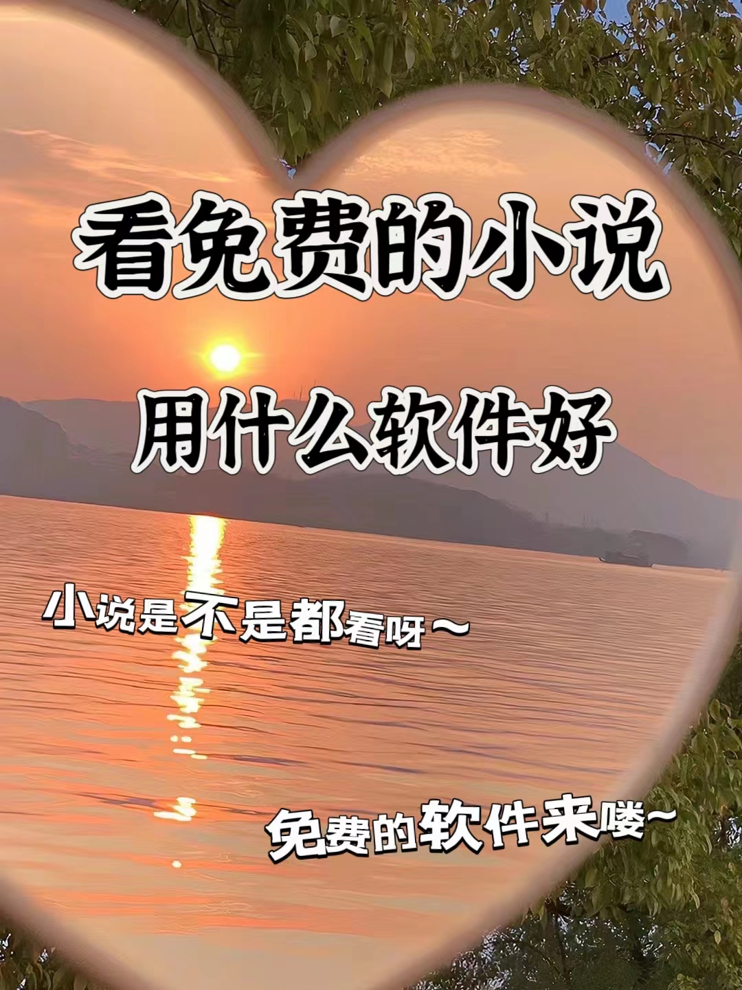 免费看那种的APP软件免费看那种的APP软件，选择与使用指南