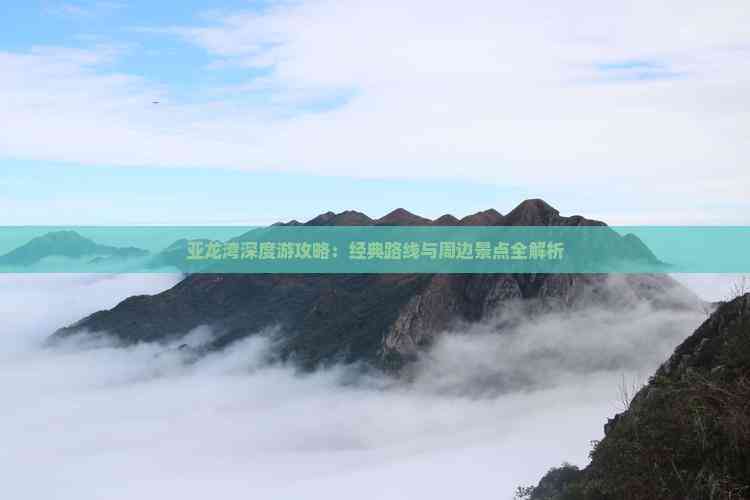 探索天堂资源最新版，深度解析与使用指南-第1张图片
