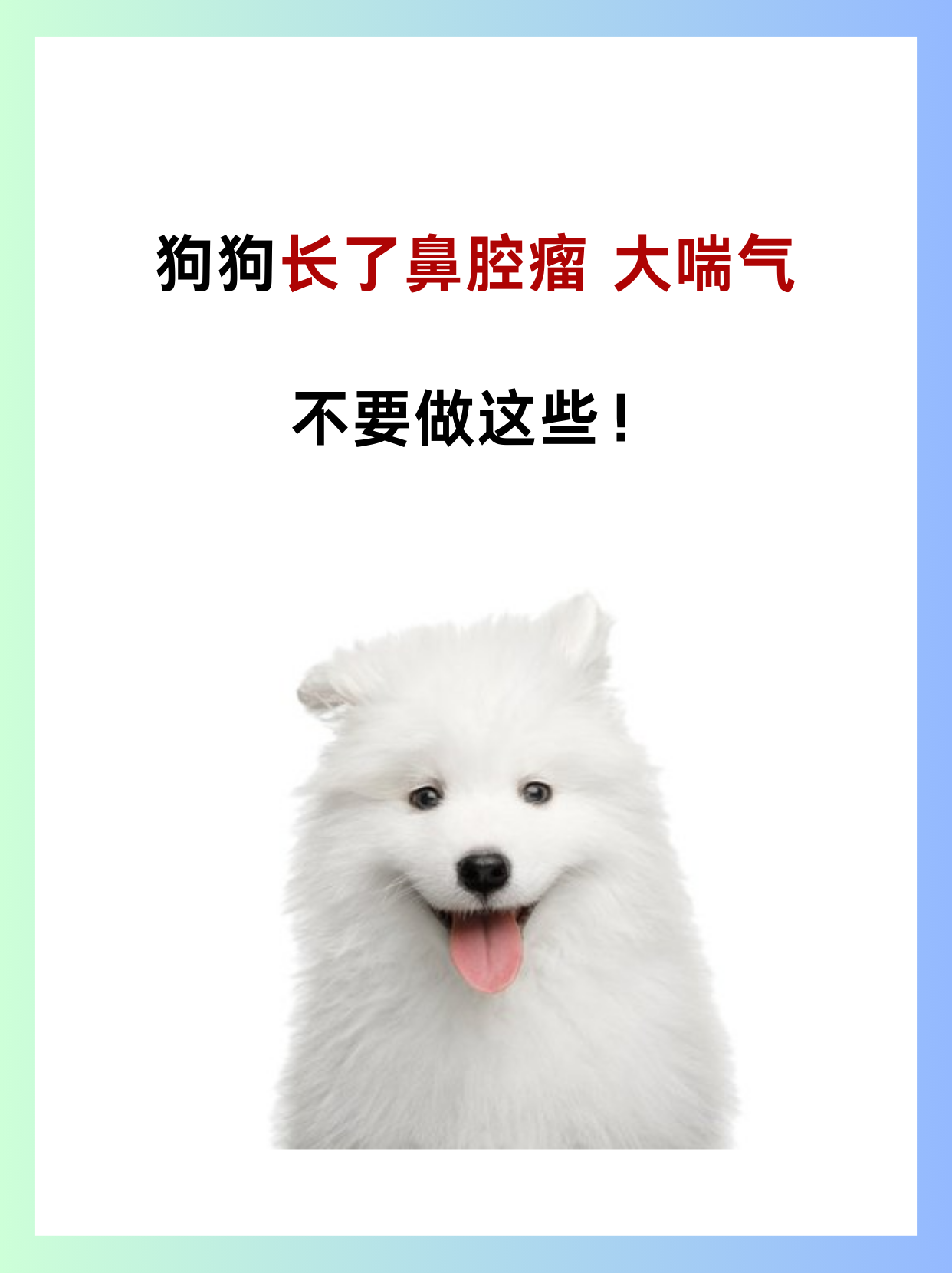 狗狗太大了会撑坏的狗狗饮食之度，警惕狗狗太大了会撑坏的警示-第1张图片