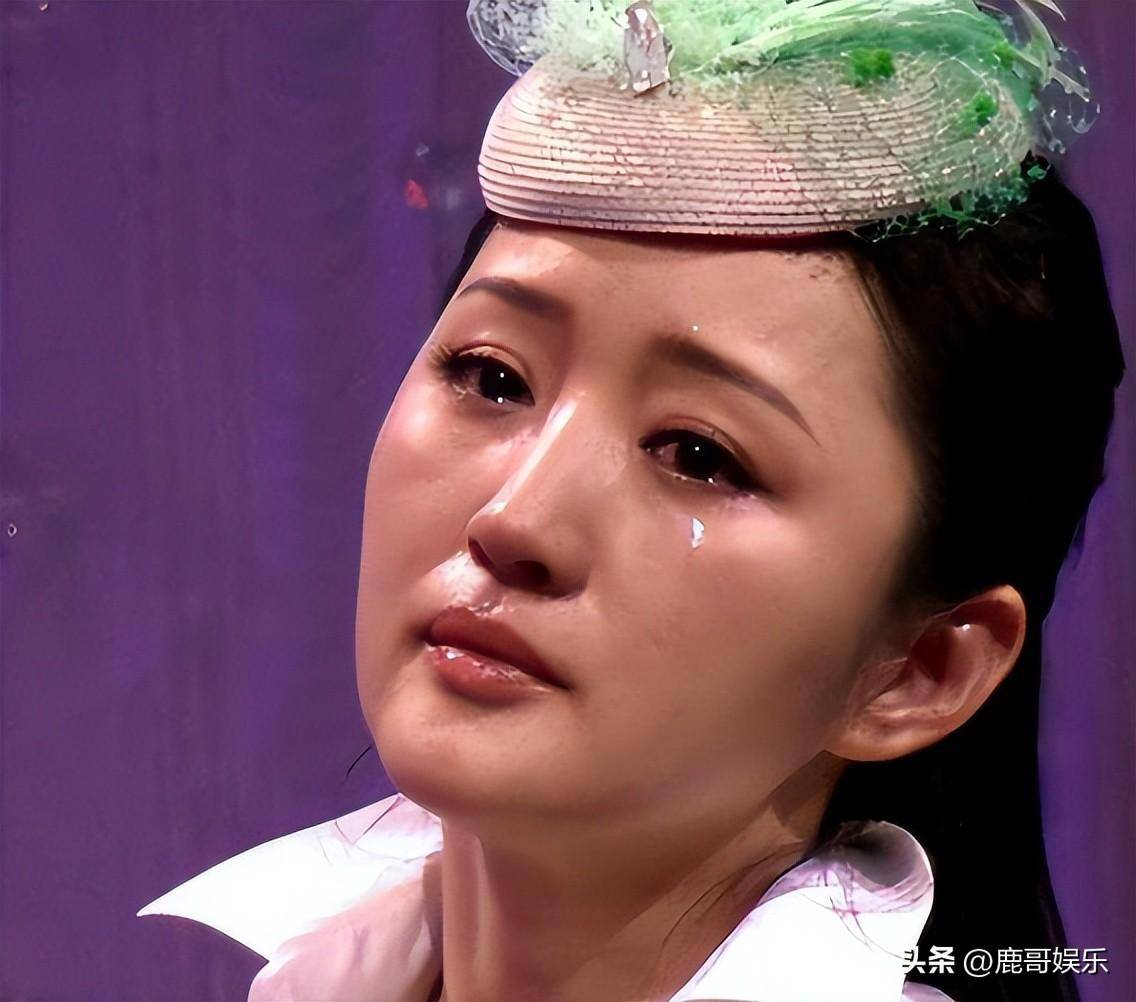杨钰莹小说，歌坛之星的文学之旅-第3张图片