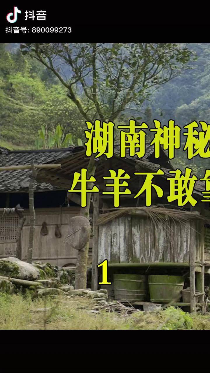 山村之谜——探索三伦的神秘世界