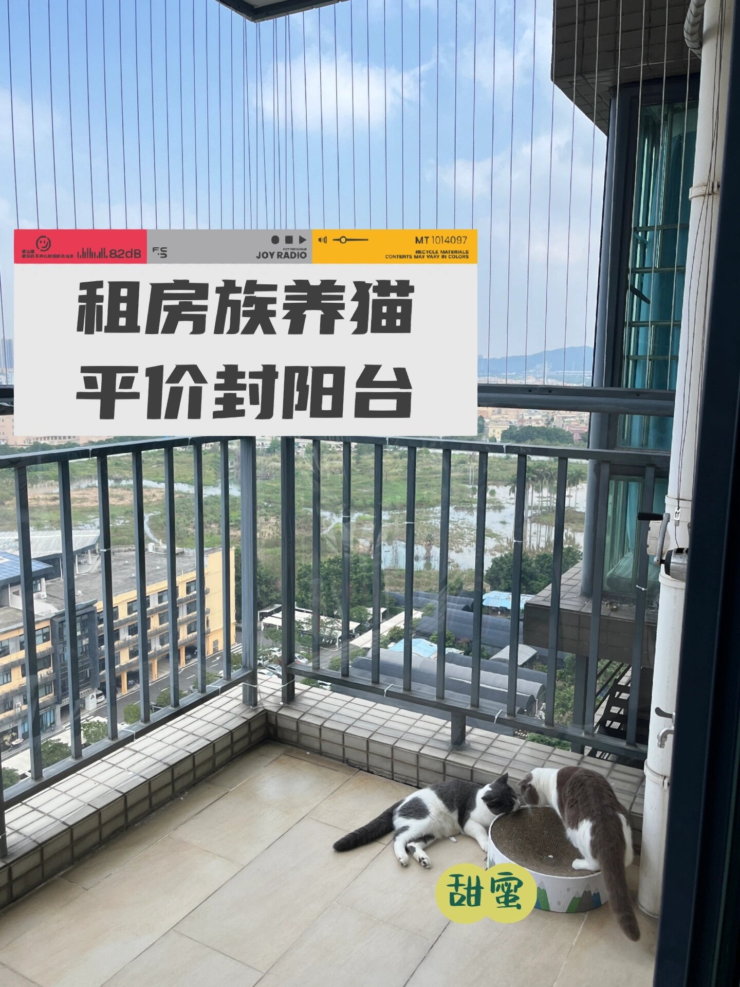 租房给养猫的人的注意事项租房新体验，租房送猫娘