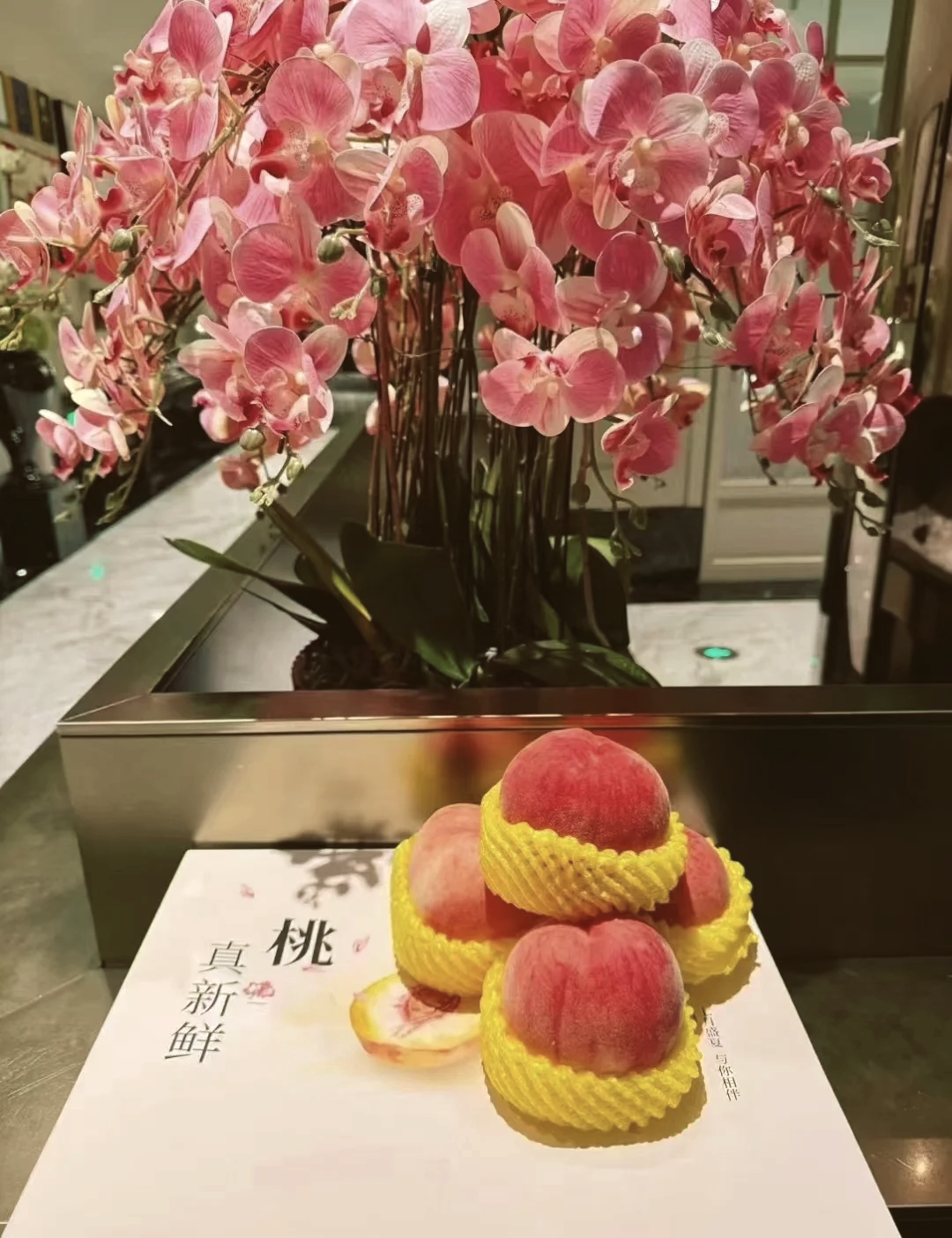 桃子视频，高清免费观看的绝佳选择