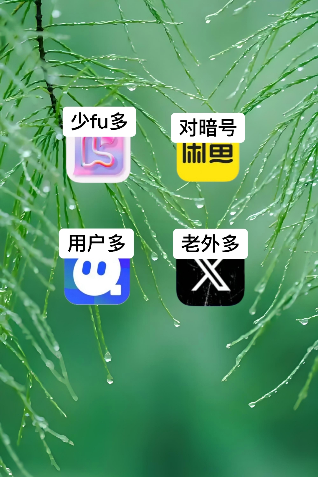 蜜桃交友，遇见心动的社交新体验-第2张图片