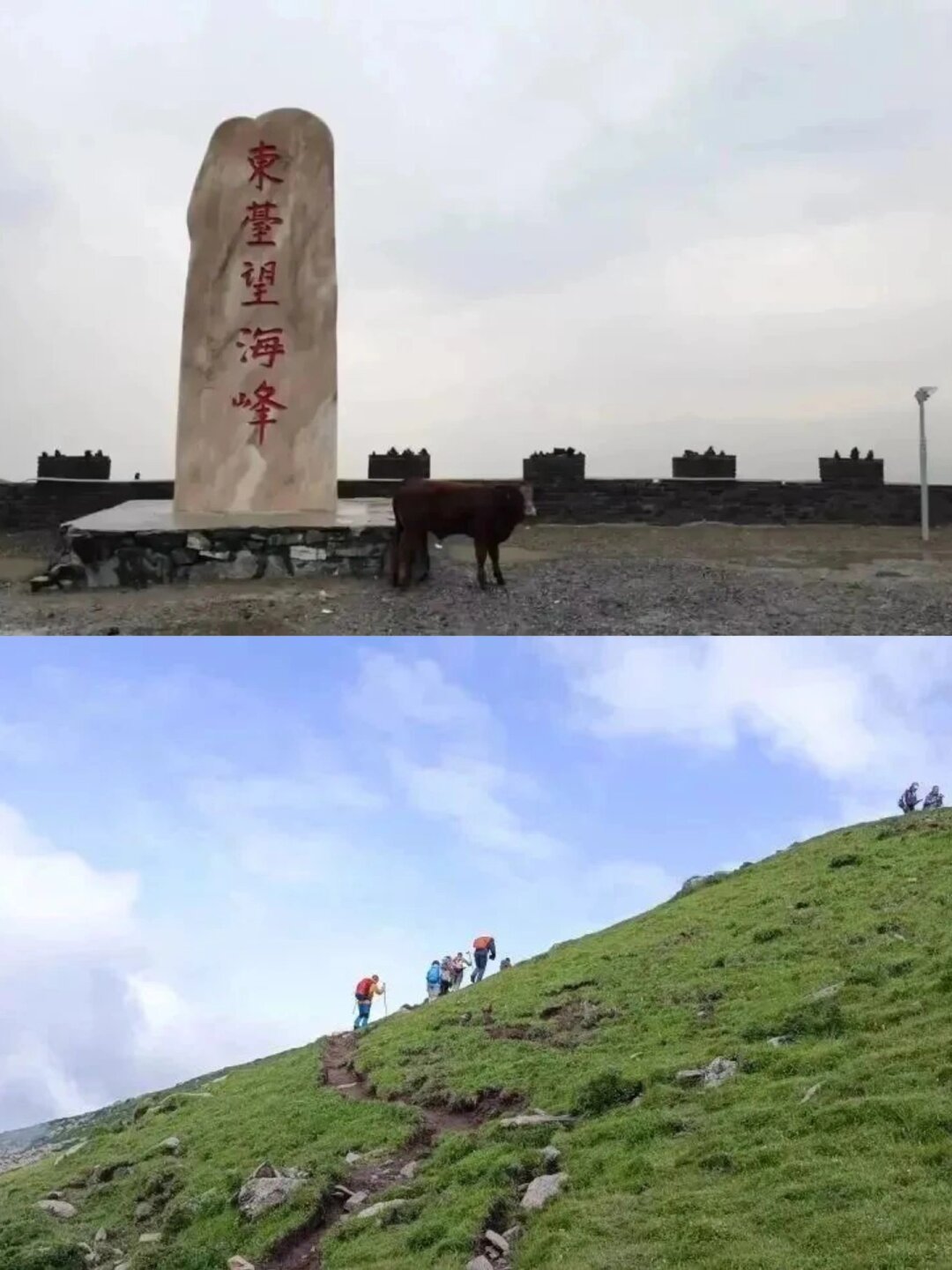 公园之约，他的话语与渴望-第3张图片