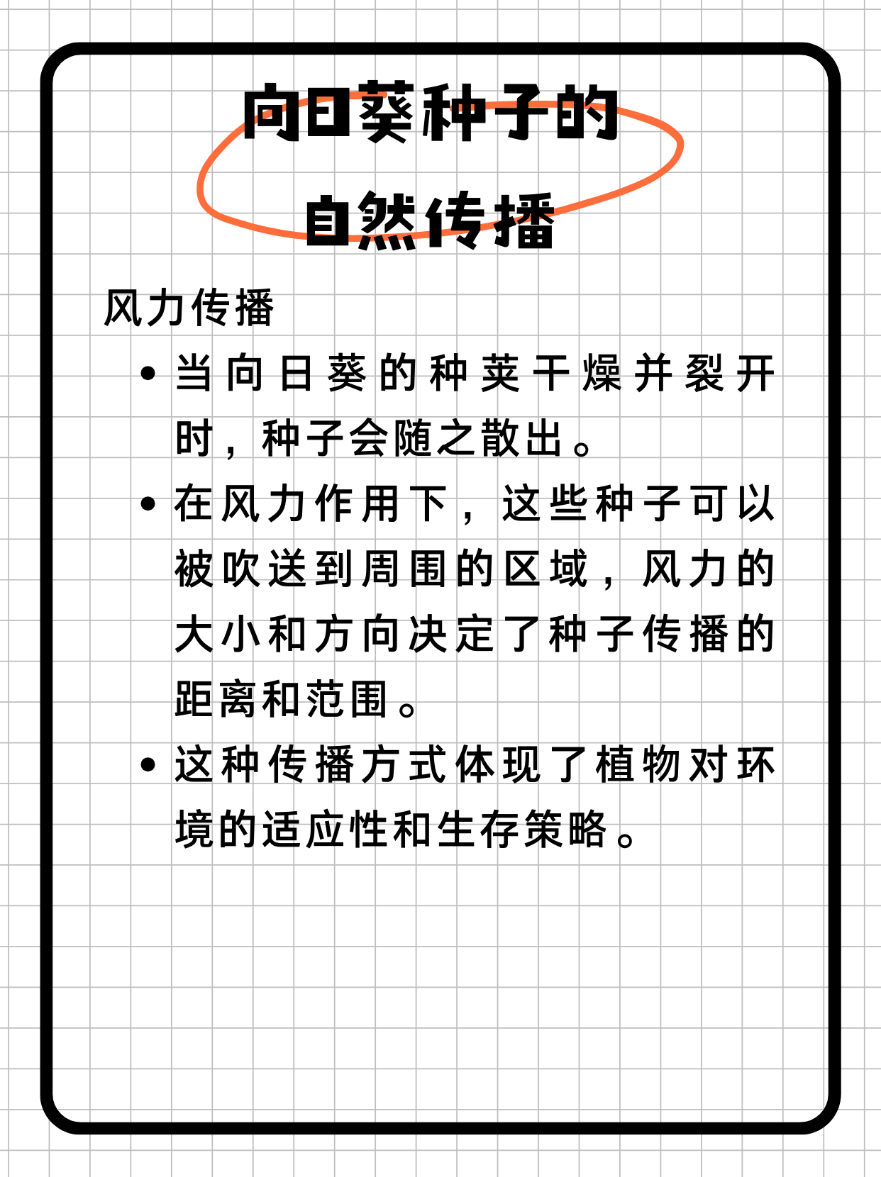 向日葵app官方网站人口统计探索向日葵app的奇妙世界——官方网站全解析-第2张图片