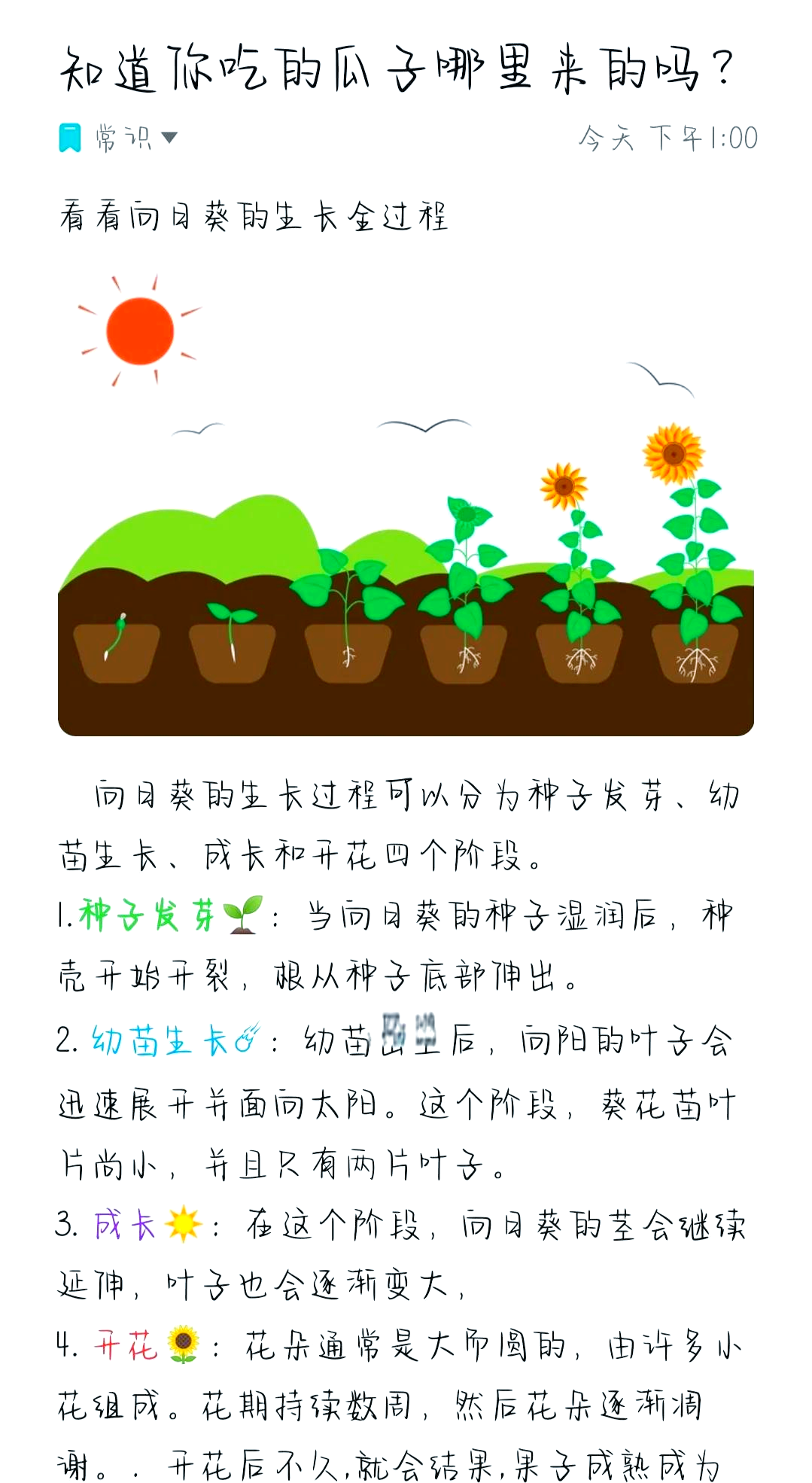 向日葵app官方网站人口统计探索向日葵app的奇妙世界——官方网站全解析-第3张图片
