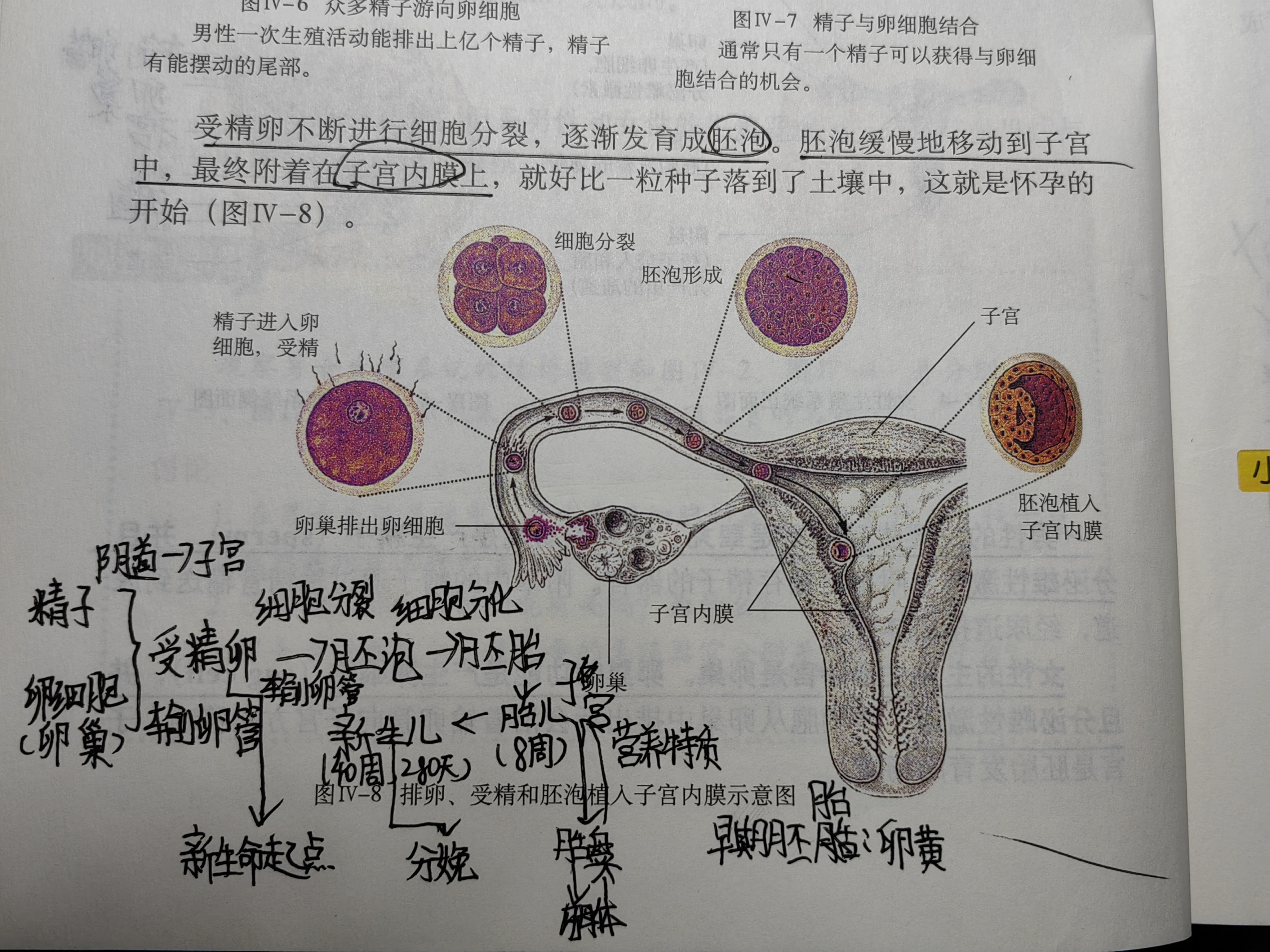 生物老师上课用自己做实验生物老师以身作则，用自己作为实验的生动课堂-第2张图片