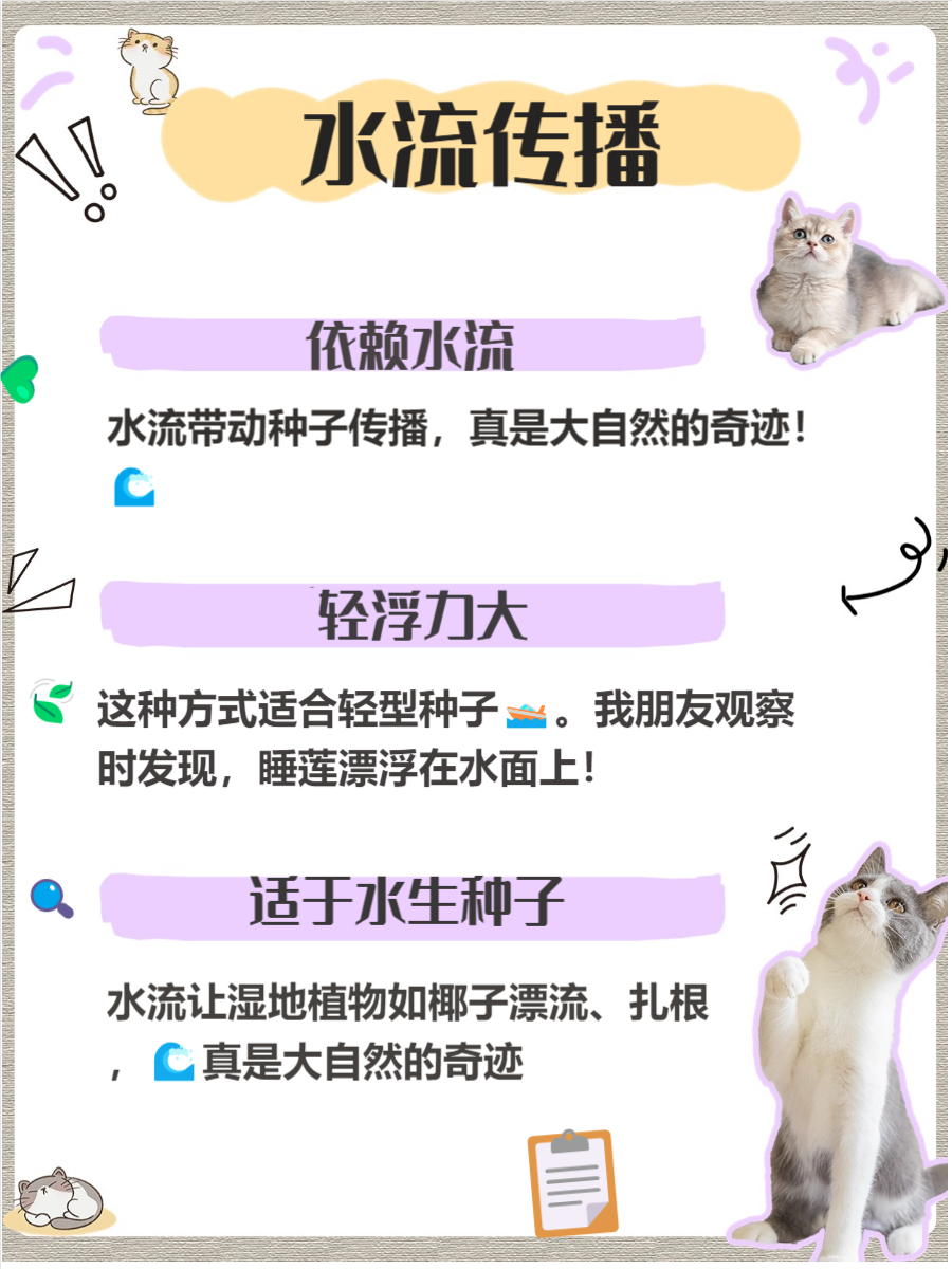 生命水晶多的种子生命水晶种子手机版，开启生命科技新纪元