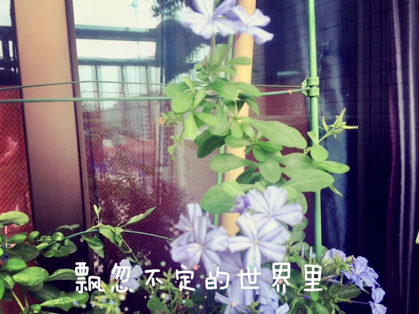意外发现，早上醒来后的惊喜
