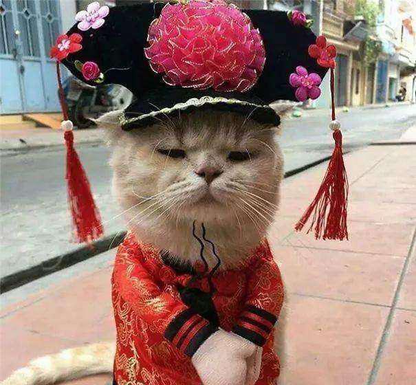 皇上的威仪，真大之所在