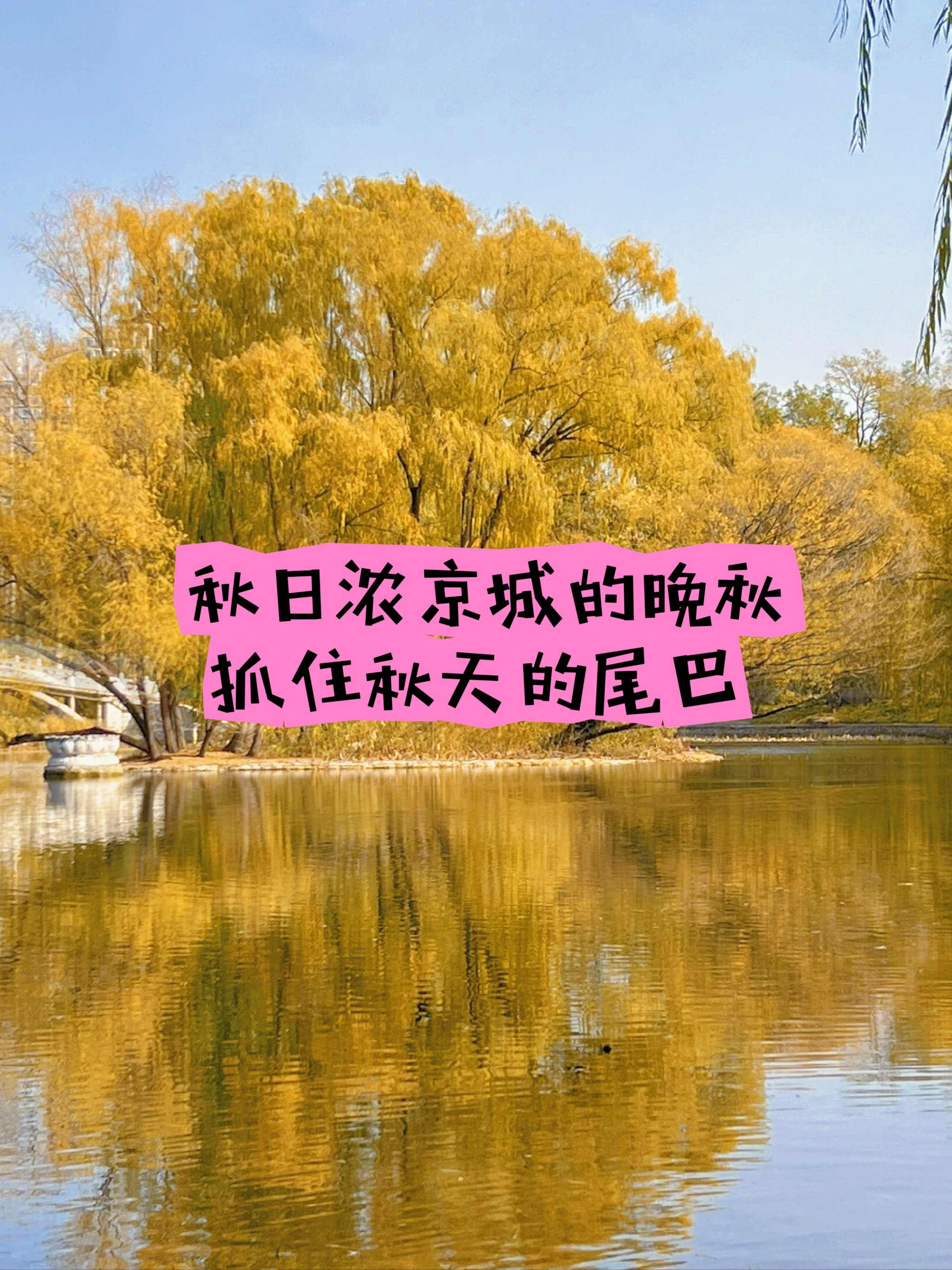 晚秋影院手机在线观看免费晚秋影院，手机在线观看免费，尽享秋日影音盛宴-第3张图片
