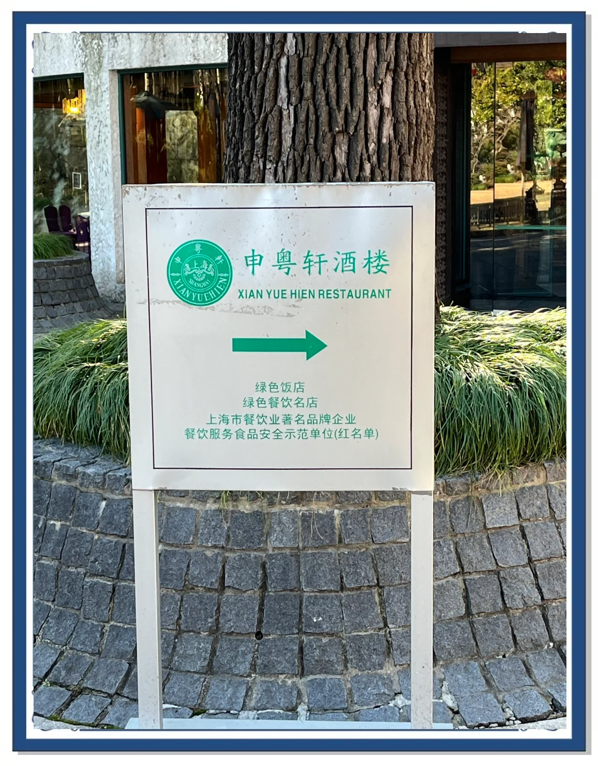 丁香区丁香区，一座城市的香气记忆
