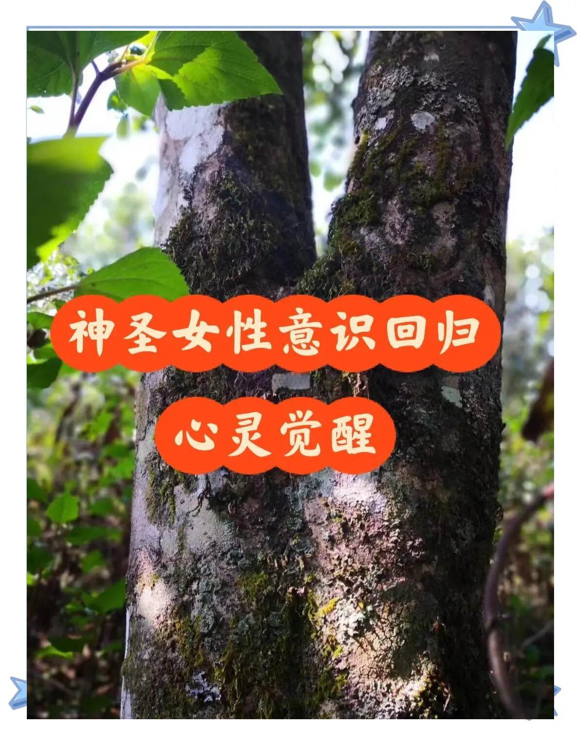 迷之觉悟，探索未知的心灵觉醒-第3张图片