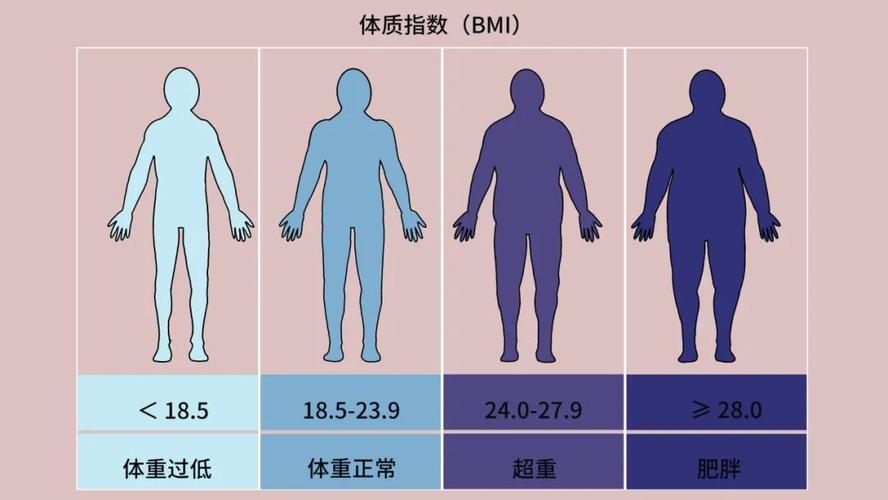 米插香是吉还是凶_一米八插一米五_米插筷子实验